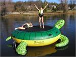 Turtle Hop